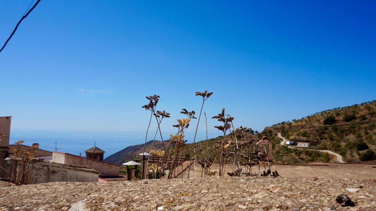Casa Amigos Sorvilan - La Almendra Luaran gambar