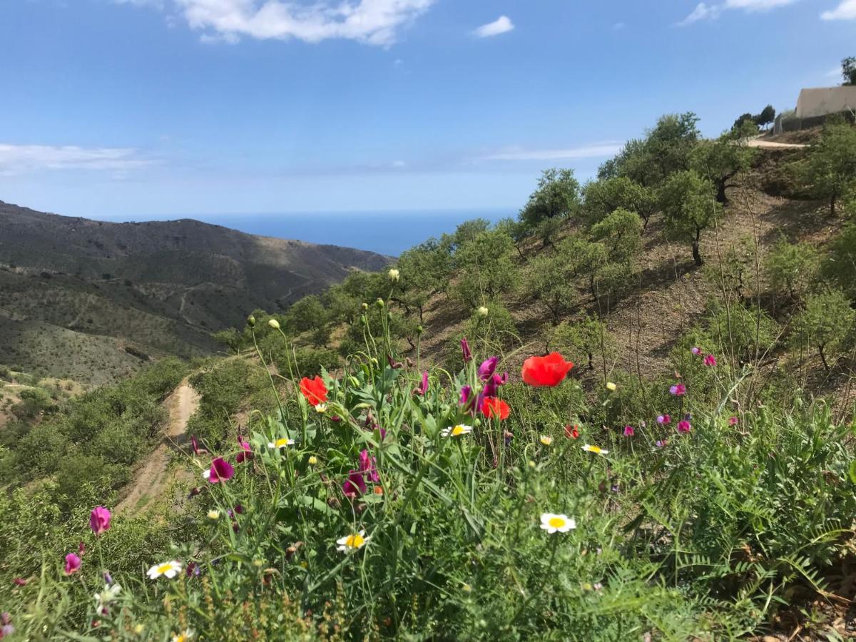 Casa Amigos Sorvilan - La Almendra Luaran gambar