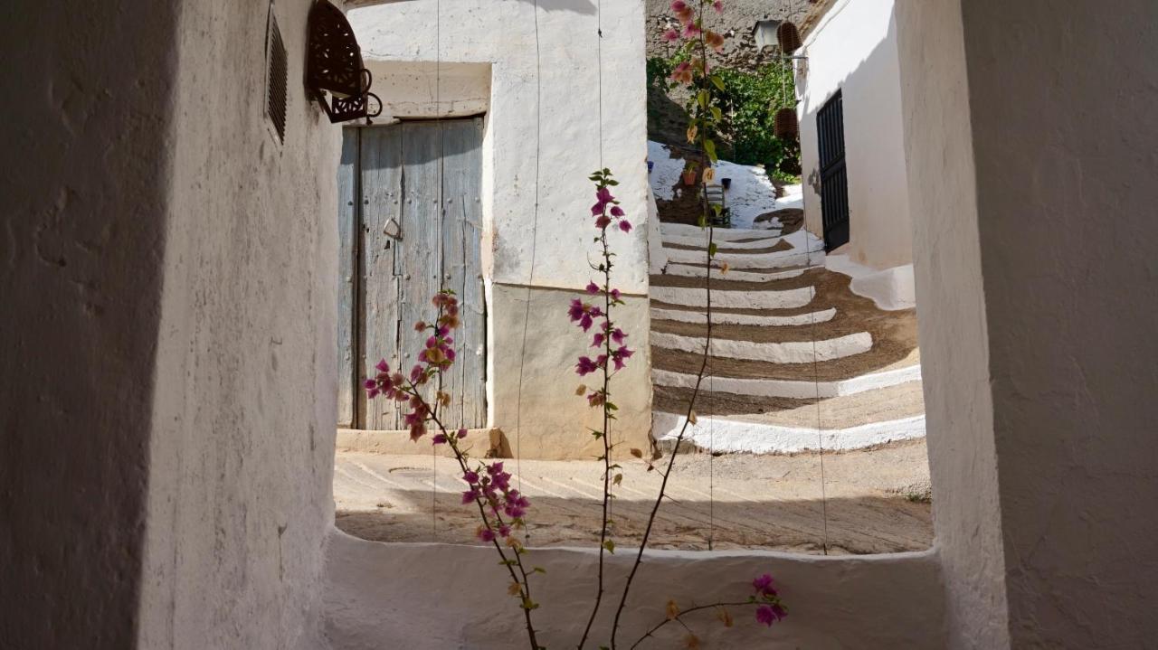 Casa Amigos Sorvilan - La Almendra Luaran gambar
