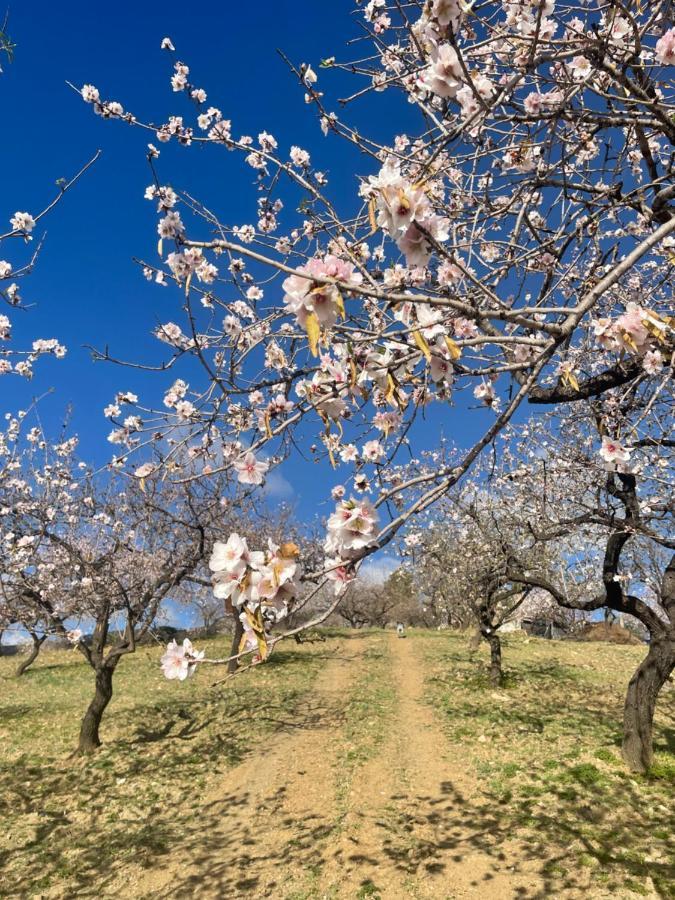 Casa Amigos Sorvilan - La Almendra Luaran gambar