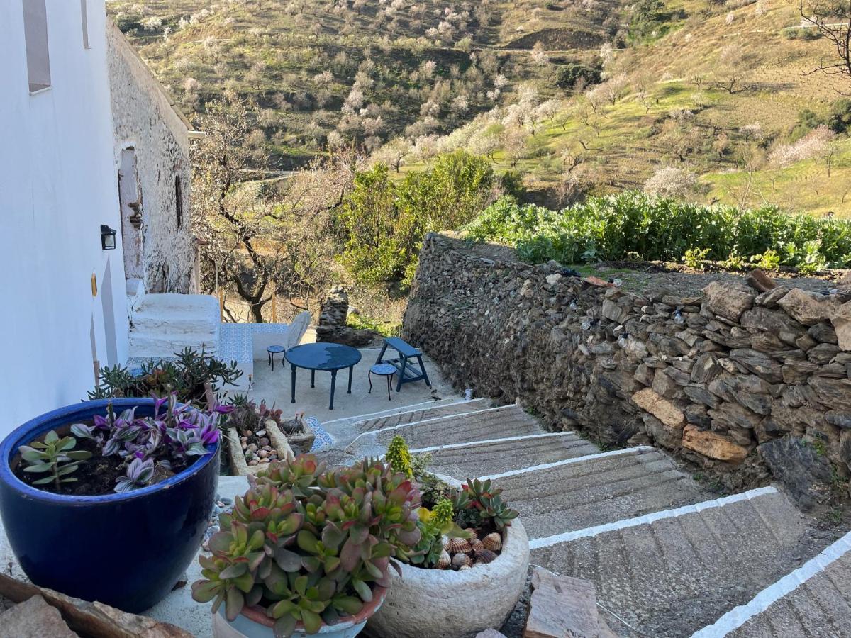 Casa Amigos Sorvilan - La Almendra Luaran gambar